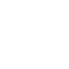 Oiseau de proie blanc