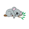 Koala Bear Sleep Lazy