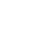 Turtle gift
