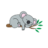 Sleeping Koala Bear