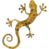gecko gold brown yellow