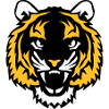 tiger wild animal 28012