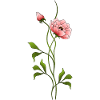 Bunte blume