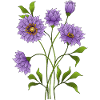 Bunte blumen