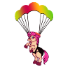 Fly paraglider