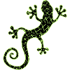 Gekko green and black