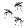 Insetti Sanguisughe Zanzara sanguinante Vermin Mosquitoes