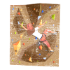Climbing climbing wall