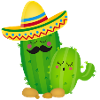 Cactus Mexico shirt