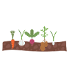 Garden vegetable gardener