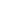 nautical star compass