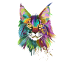 Maine coon Katze