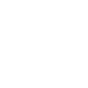 disque vinyle