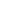 Dt wirehaired white above