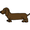 Cool Dachshund