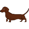 Hunting dachshund
