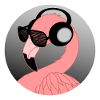 Flamingo with sunglasses and headphones