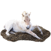 Sleeping foal on hay