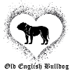 Old English Bulldog Love