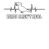 Birds Aren't Real EKG