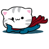 Cat pet gift idea