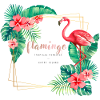 flamingo3