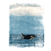 vancouver island