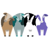 cows