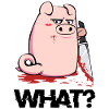 pig