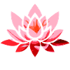 Lotus Flower