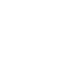 Digital pioneer
