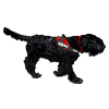 Schnauzer ONLY