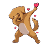Dab the dog