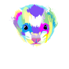 Splash Frettchen