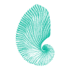 Teal Abstract Snail Pattern