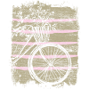 Cycles