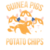 Guinea pigs animal lovers
