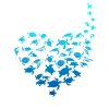 Turtle heart love
