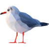 Gull