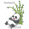 Sleeping panda - workout? Overrated