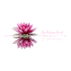 Mindfulness, water lily