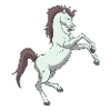 Horse rears up