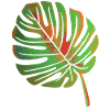 Monstera leaf