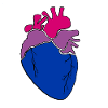 Bi Heart