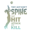 volleyball