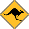Attention kangaroo!