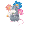 Rat rodents