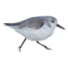 stint