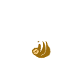 Faultier Profi Chiller