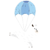 Alpaga Skydive Skydiving Skydiver